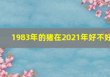 1983年的猪在2021年好不好