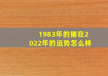 1983年的猪在2022年的运势怎么样