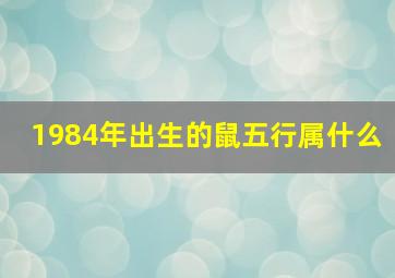 1984年出生的鼠五行属什么