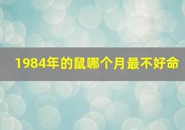 1984年的鼠哪个月最不好命