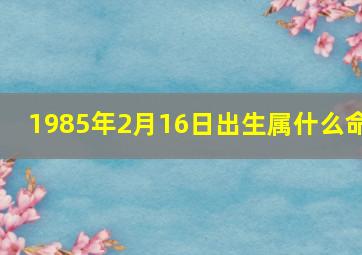 1985年2月16日出生属什么命