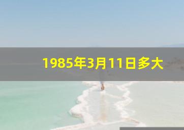 1985年3月11日多大