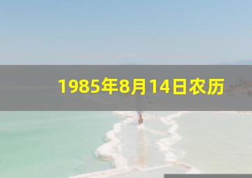 1985年8月14日农历