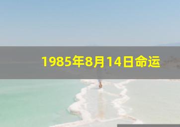 1985年8月14日命运