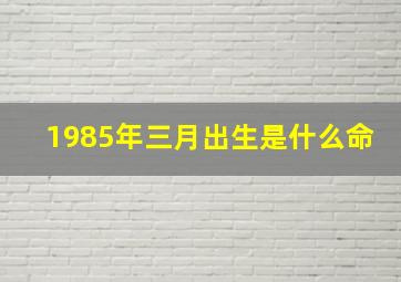 1985年三月出生是什么命