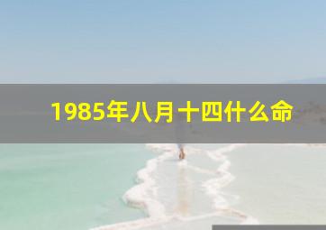 1985年八月十四什么命