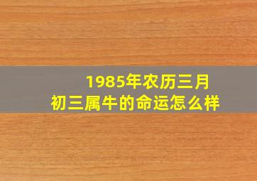 1985年农历三月初三属牛的命运怎么样