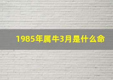 1985年属牛3月是什么命