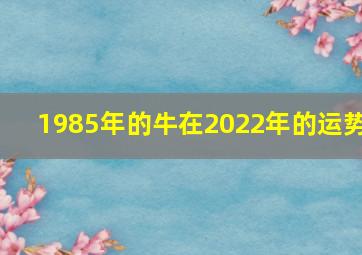 1985年的牛在2022年的运势