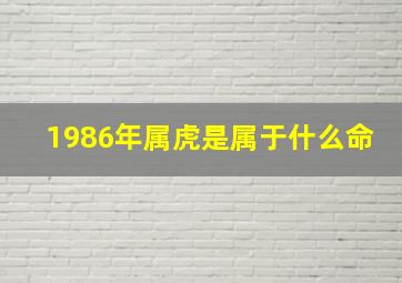 1986年属虎是属于什么命