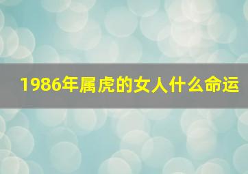 1986年属虎的女人什么命运