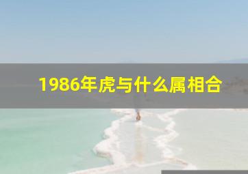 1986年虎与什么属相合