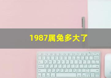 1987属兔多大了