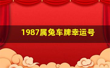 1987属兔车牌幸运号