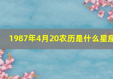 1987年4月20农历是什么星座