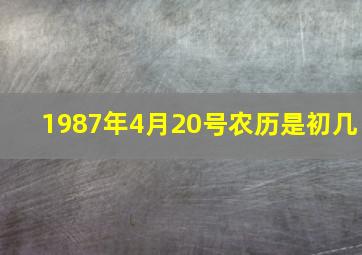 1987年4月20号农历是初几