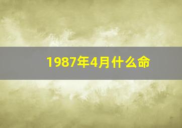 1987年4月什么命