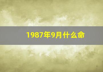 1987年9月什么命