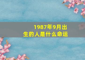 1987年9月出生的人是什么命运