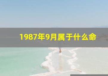 1987年9月属于什么命