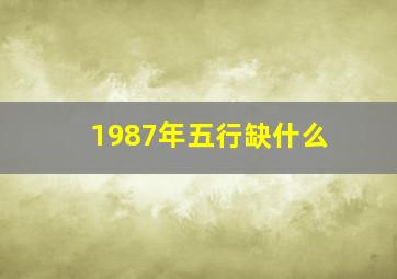 1987年五行缺什么