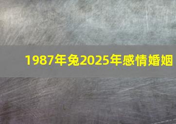 1987年兔2025年感情婚姻