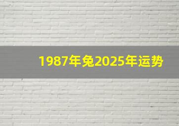 1987年兔2025年运势