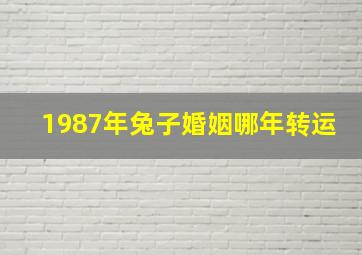 1987年兔子婚姻哪年转运