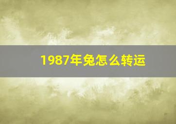 1987年兔怎么转运