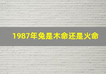 1987年兔是木命还是火命