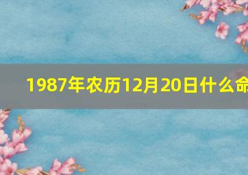 1987年农历12月20日什么命