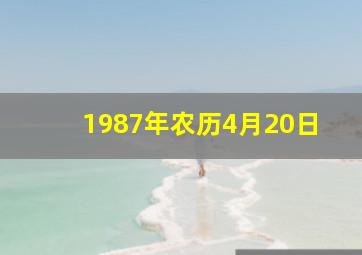 1987年农历4月20日