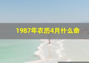 1987年农历4月什么命