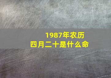 1987年农历四月二十是什么命