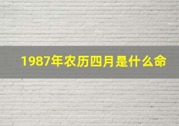 1987年农历四月是什么命