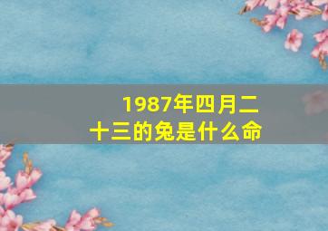 1987年四月二十三的兔是什么命