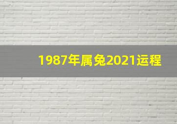 1987年属兔2021运程