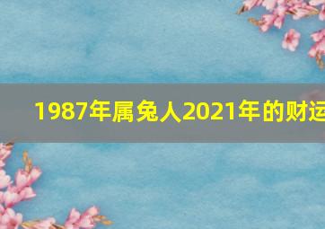 1987年属兔人2021年的财运