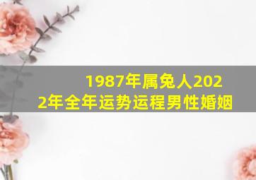 1987年属兔人2022年全年运势运程男性婚姻