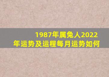 1987年属兔人2022年运势及运程每月运势如何