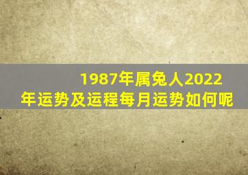 1987年属兔人2022年运势及运程每月运势如何呢