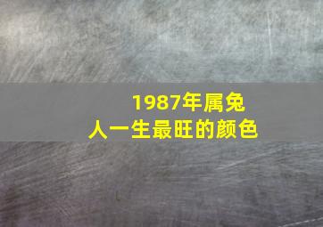 1987年属兔人一生最旺的颜色