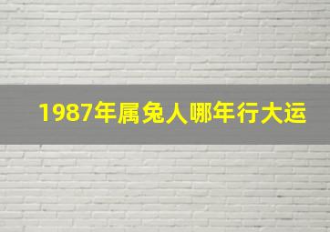 1987年属兔人哪年行大运