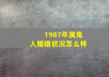 1987年属兔人婚姻状况怎么样