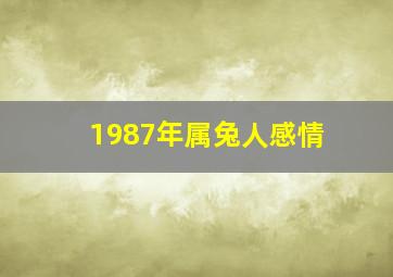 1987年属兔人感情