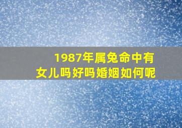 1987年属兔命中有女儿吗好吗婚姻如何呢