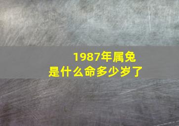 1987年属兔是什么命多少岁了