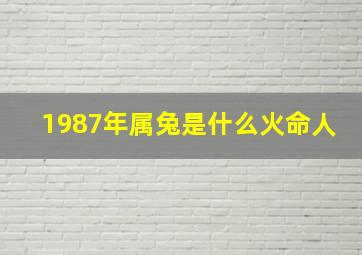 1987年属兔是什么火命人