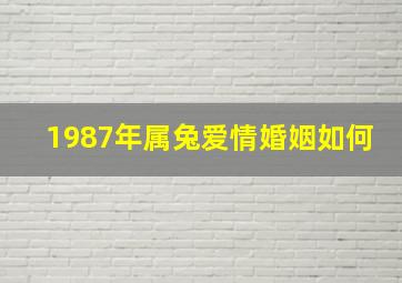 1987年属兔爱情婚姻如何