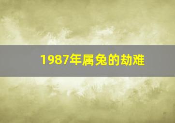 1987年属兔的劫难